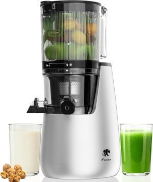 Cold Press Juicer 