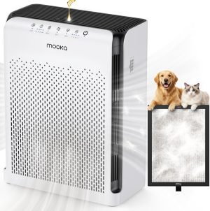 Air Purifier 