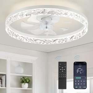Modern Ceiling Fans with Lights and Remote