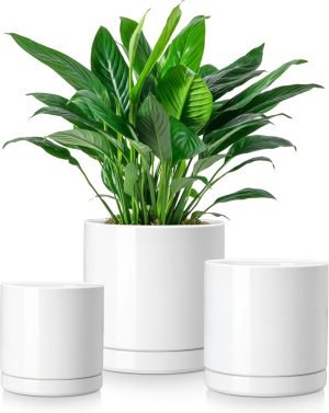 Ceramic Plant Pots 3 Piece 