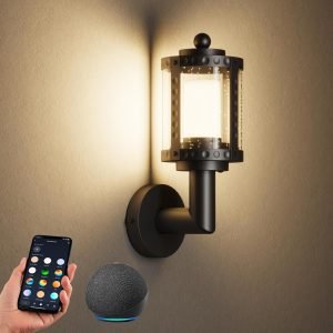 Smart Outdoor Wall Lights