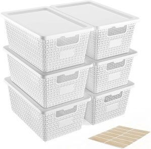 Stackable Organizing Bins with Lids 