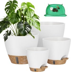 Self Watering Pots