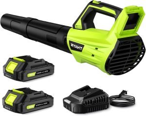 Leaf Blower Cordless 