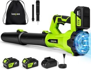Cordless Leaf Blower 