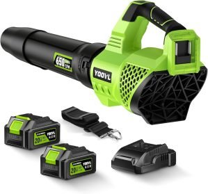 Leaf Blower Cordless