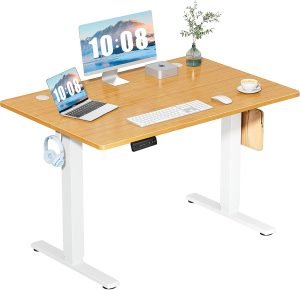 48 Inch Electric Standing Desk 