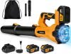 Leaf Blower