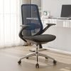Ergonomic Mesh Office Chair