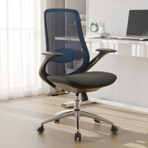 Ergonomic Mesh Office Chair
