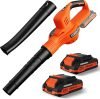 Leaf Blower Cordless