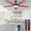 Ceiling Fans with Lights