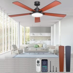 Ceiling Fans with Lights
