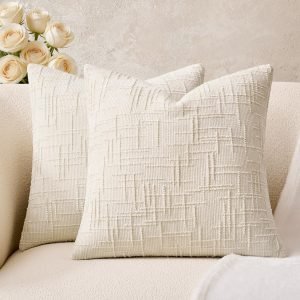 Throw Pillow Covers Set of 2