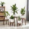 Wood Plant Stands Indoor 5-Pack