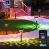 Smart Solar Pathway Lights