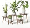 Wood Plant Stands Indoor 5-Pack 