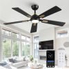 52 inch Black&Gold Ceiling Fans with Lights and Remote/APP