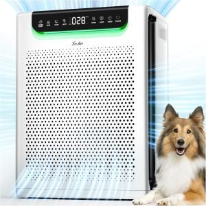 Air Purifiers 
