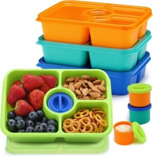 Bento Snack Box Containers