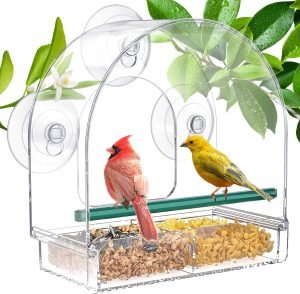 Window Bird Feeder for Outdoors
