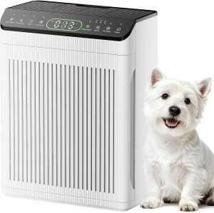 Air Purifiers 