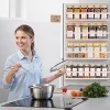 Magnetic Spice Rack for Refrigerator 