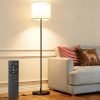 Dimmable Floor Lamps 