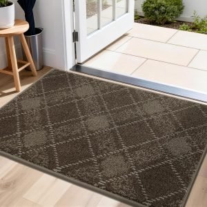 Non-Slip Door Mat 