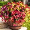Artificial Flowers