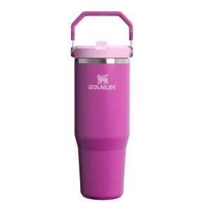 STANLEY IceFlow 2.0 Flip Straw Tumbler with Handle 30 oz