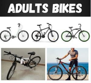 Adults Bike at Walmart !