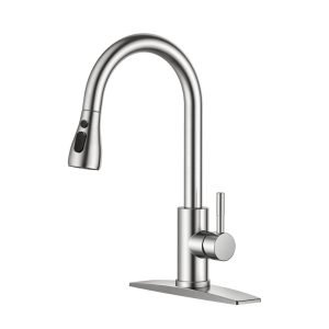 Kitchen Faucets with Pull Down Sprayer