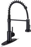 Kitchen Faucet 