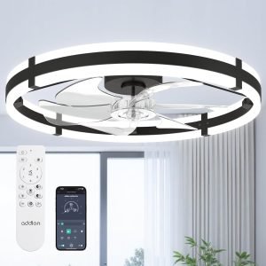Ceiling Fans with Lights