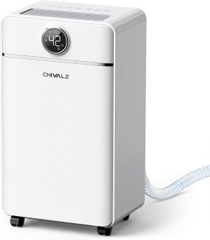 Dehumidifier for Home