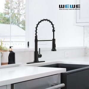 Kitchen Faucets with Pull Down Sprayer