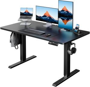 48 x 24 Inch Electric Standing Desk 
