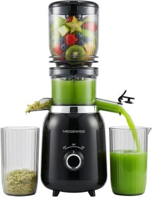 Cold Press Juicer Machine