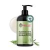 Mielle Organics Rosemary Mint Hair Strengthening Biotin Shampoo