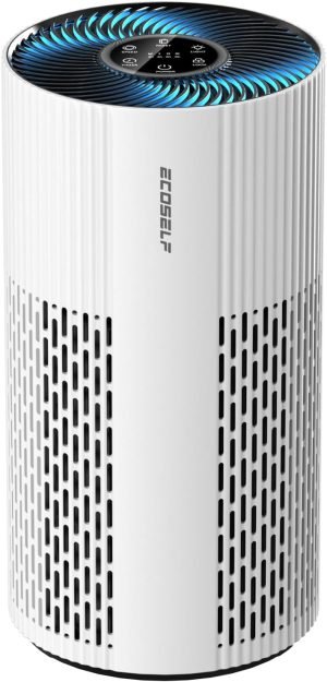 Air Purifiers for Home