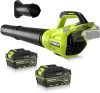 Cordless Leaf Blower 