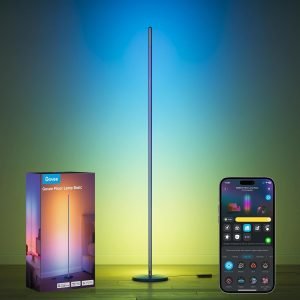 Govee RGBIC Floor Lamp Basic