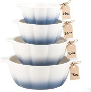 Large Soup Bowls Set of 4 