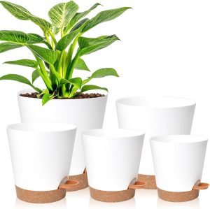 Planters for Indoor Plants 