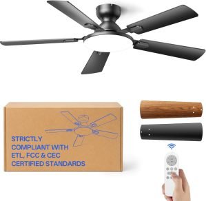 Ceiling Fans with Lights