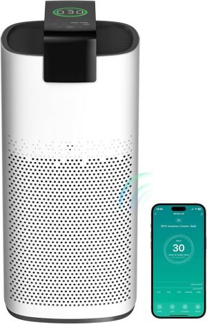 Air Purifier 