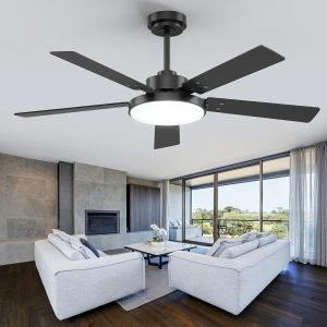 52 inch Black Ceiling fan with Light