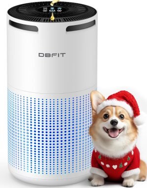 Air Purifier 