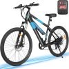 Adult Electric Bike 
